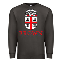 Smoke brown university Premium Sweatshirt - artisFamous