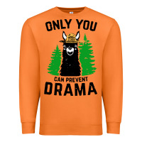 Carrot only you can prevent drama llama Premium Sweatshirt - artisFamous