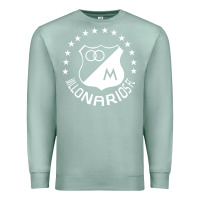 Seafoam millonarios futbol Premium Sweatshirt - artisFamous