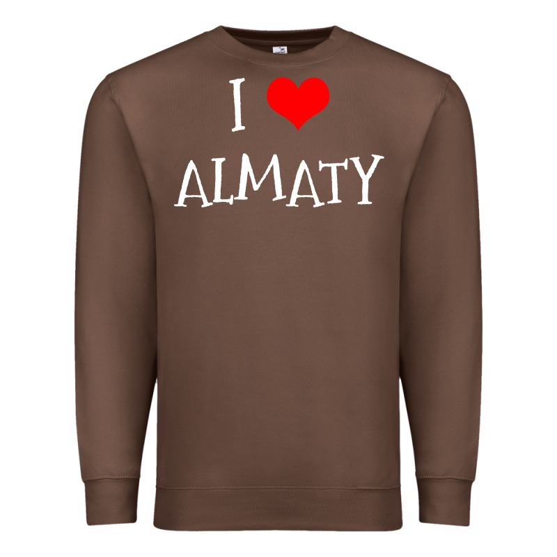 I Love Almaty City Premium Sweatshirt by artisFamous | Teevron