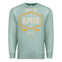 Seafoam Amir Personalized Name Birthday Gift Premium Sweatshirt - artisFamous