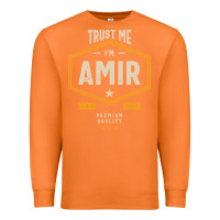 Carrot Amir Personalized Name Birthday Gift Premium Sweatshirt - artisFamous