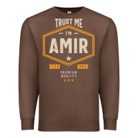 Chestnut Amir Personalized Name Birthday Gift Premium Sweatshirt - artisFamous