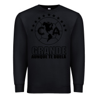 Black club america de mexico Premium Sweatshirt - artisFamous