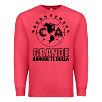 Cardinal club america de mexico Premium Sweatshirt - artisFamous