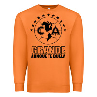 Carrot club america de mexico Premium Sweatshirt - artisFamous