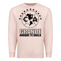 Pale Pink club america de mexico Premium Sweatshirt - artisFamous