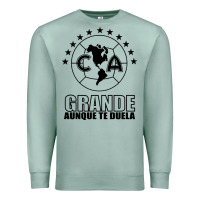 Seafoam club america de mexico Premium Sweatshirt - artisFamous