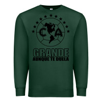 Sports Green club america de mexico Premium Sweatshirt - artisFamous