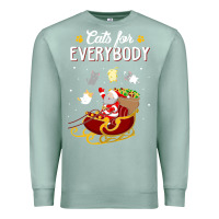 Seafoam cats for everybody cat christmas ugly christmas sweatshirt Premium Sweatshirt - artisFamous