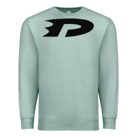 Seafoam danny phantom run Premium Sweatshirt - artisFamous