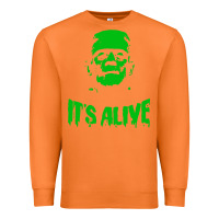 Carrot frankenstein Premium Sweatshirt - artisFamous