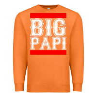 Carrot big papi Premium Sweatshirt - artisFamous