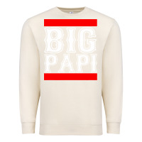 Sandshell big papi Premium Sweatshirt - artisFamous