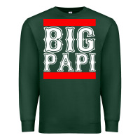 Sports Green big papi Premium Sweatshirt - artisFamous