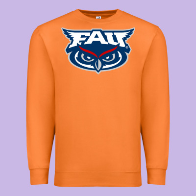 Florida Atlantic Owls Premium Sweatshirt Designed By Artisfamous