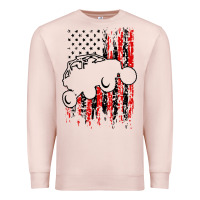 Pale Pink usa utv rzr racing Premium Sweatshirt - artisFamous