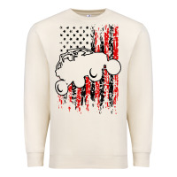 Sandshell usa utv rzr racing Premium Sweatshirt - artisFamous