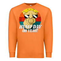 Carrot hump day Premium Sweatshirt - artisFamous