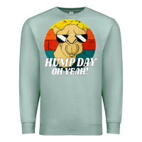 Seafoam hump day Premium Sweatshirt - artisFamous