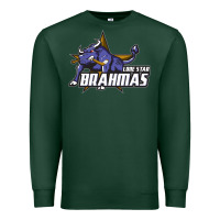 Sports Green lone star brahmas Premium Sweatshirt - artisFamous