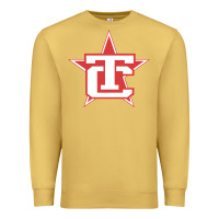 Antique Gold Traverse City North Stars Premium Sweatshirt - artisFamous