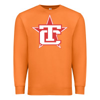 Carrot Traverse City North Stars Premium Sweatshirt - artisFamous