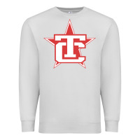 Dove Grey Traverse City North Stars Premium Sweatshirt - artisFamous