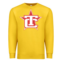 Lemon Traverse City North Stars Premium Sweatshirt - artisFamous