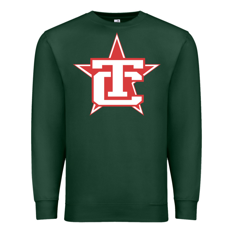 Traverse City North Stars Premium Sweatshirt by artisFamous | Teevron