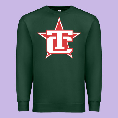 Traverse City North Stars Premium Sweatshirt Designed By Artisfamous