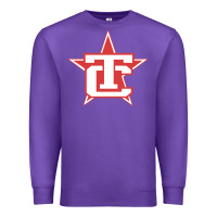 Purple Traverse City North Stars Premium Sweatshirt - artisFamous