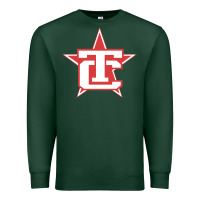Sports Green Traverse City North Stars Premium Sweatshirt - artisFamous