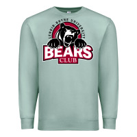 Seafoam lenoir rhyne gifts Premium Sweatshirt - artisFamous