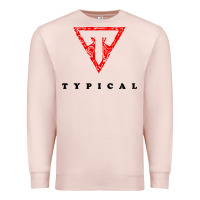 Pale Pink typical gamer Premium Sweatshirt - artisFamous