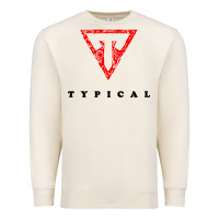 Sandshell typical gamer Premium Sweatshirt - artisFamous