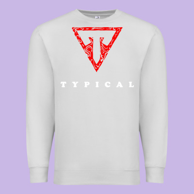 Typical Gamer Premium Sweatshirt Designed By Artisfamous