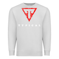 Dove Grey typical gamer Premium Sweatshirt - artisFamous