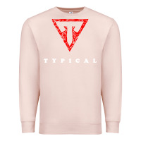 Pale Pink typical gamer Premium Sweatshirt - artisFamous