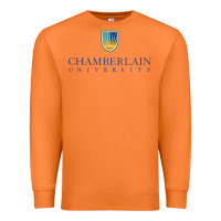 Carrot Chamberlain College Nursing Premium Sweatshirt - artisFamous