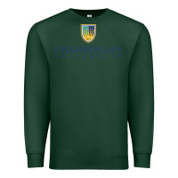 Sports Green Chamberlain College Nursing Premium Sweatshirt - artisFamous
