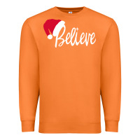 Carrot christmas Premium Sweatshirt - artisFamous