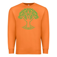 Carrot Maharishi International College Premium Sweatshirt - artisFamous