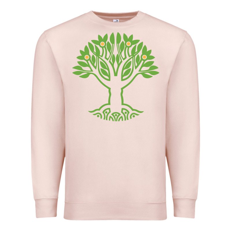 Maharishi International College Premium Sweatshirt by artisFamous | Teevron