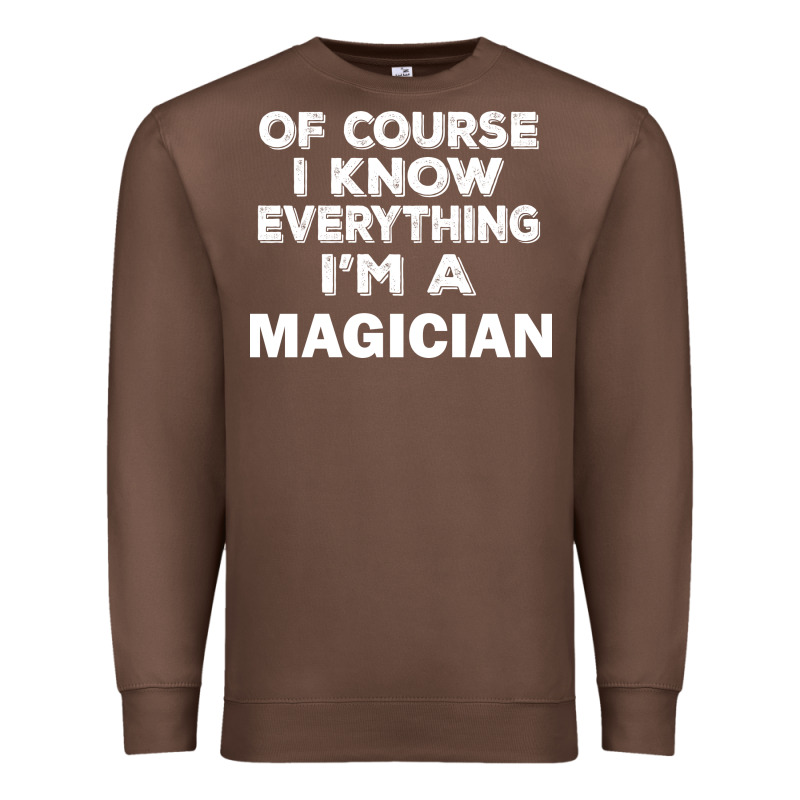 I Know Everything I'm A Magician Premium Sweatshirt by artisFamous | Teevron