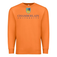 Carrot Chamberlain College Premium Sweatshirt - artisFamous