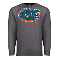 Charcoal Heather gators gator Premium Sweatshirt - artisFamous