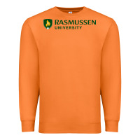 Carrot Rasmussen College Premium Sweatshirt - artisFamous