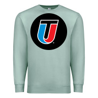Seafoam Universal Technical Institute College Premium Sweatshirt - artisFamous