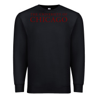 Black College of Chicago Premium Sweatshirt - artisFamous
